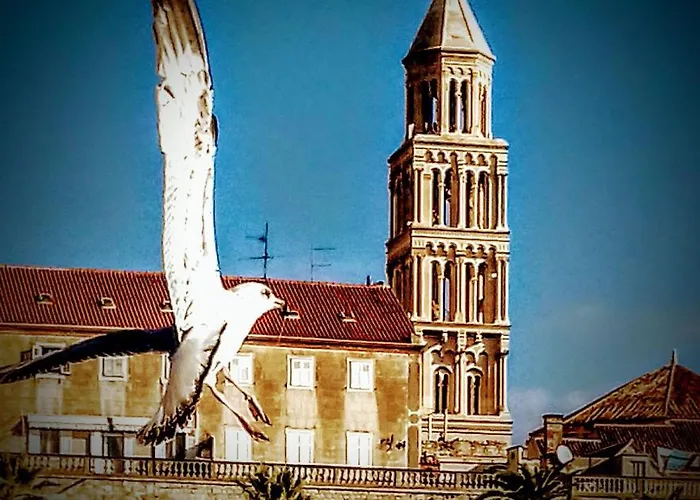 Alnea