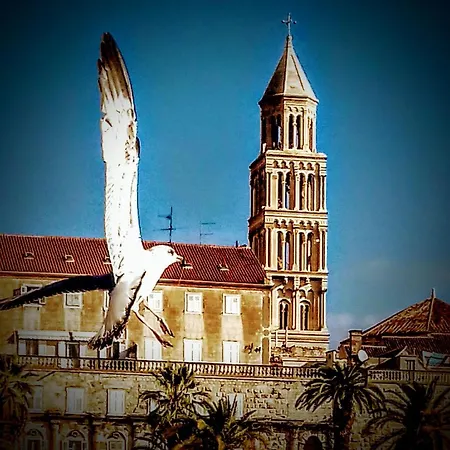 Appartement Alnea à Split Extérieur photo
