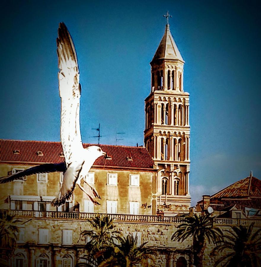 Apartma Alnea Split